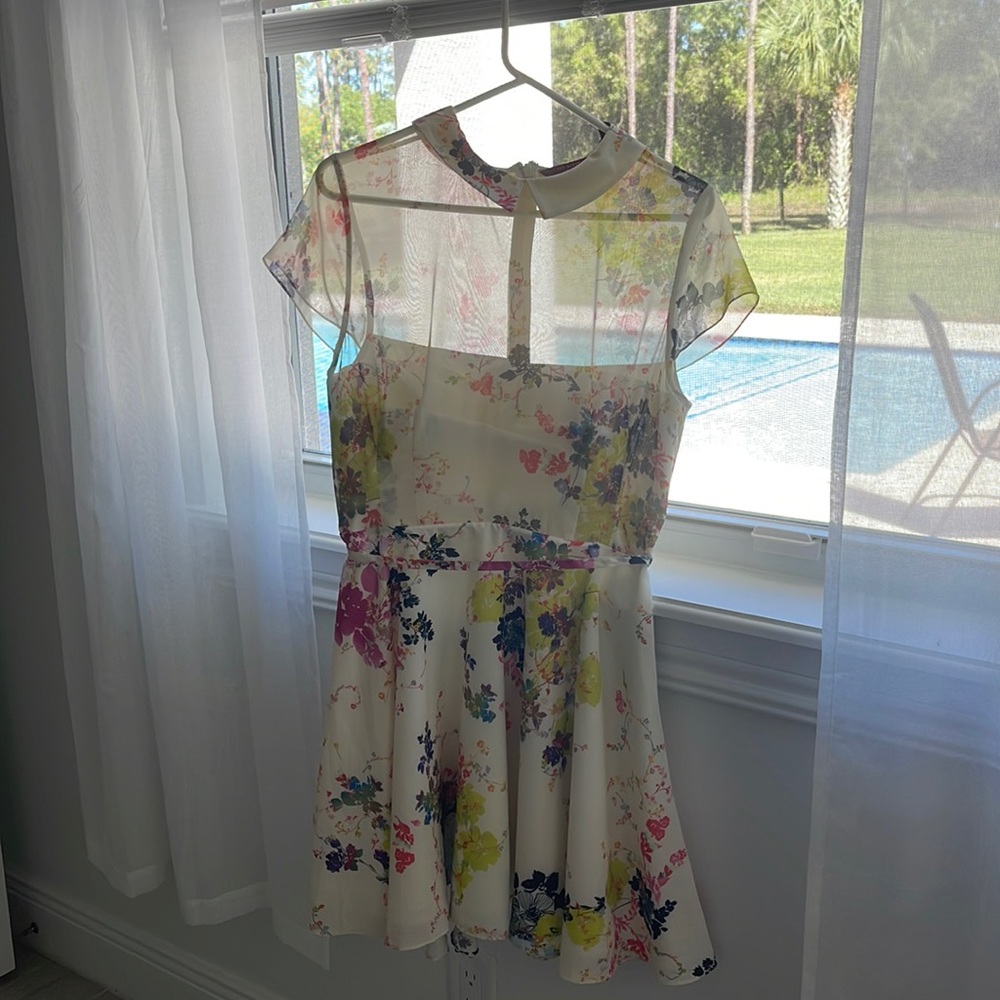 Gorgeous Ted Baker dress